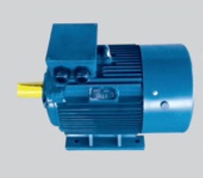 Induction Motor - SERA (KOREA)