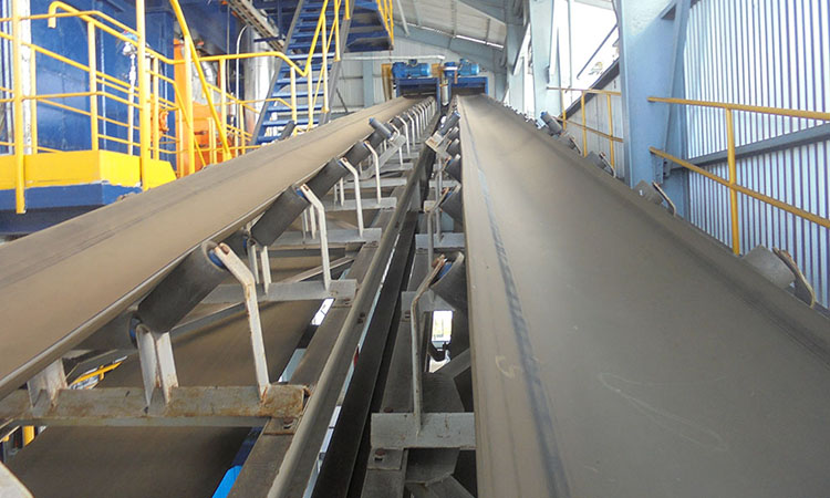Conveyor Wilmar Gresik